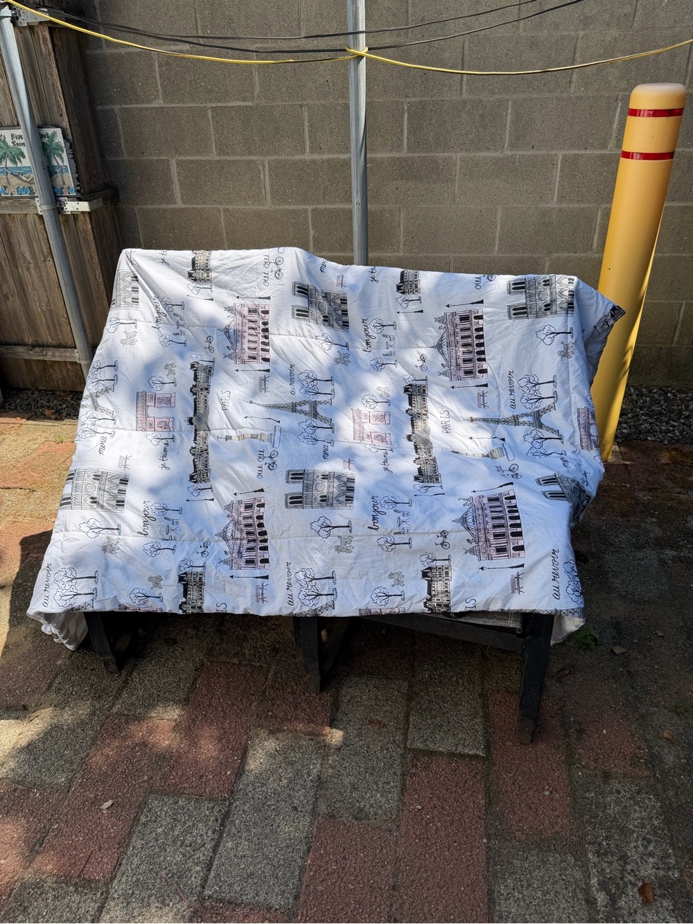 Eiffel Tower full/queen comforter